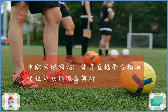 中欧买球网站:体育直播平台精准定位与功能深度解析