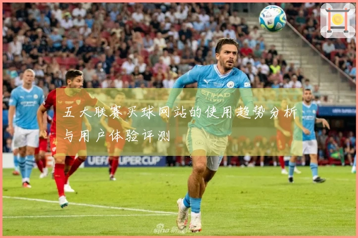 五大联赛买球网站的使用趋势分析与用户体验评测