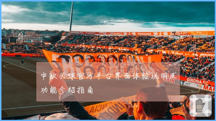 中欧买球官方平台界面体验说明及功能介绍指南