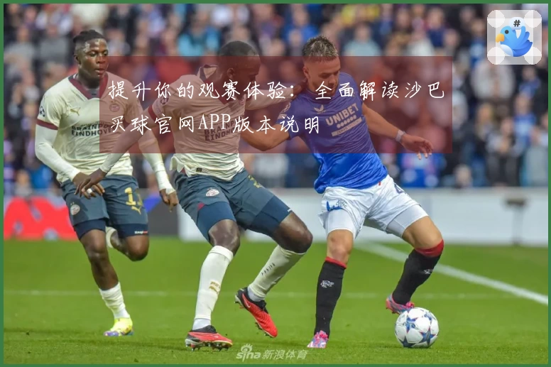 提升你的观赛体验：全面解读沙巴买球官网APP版本说明