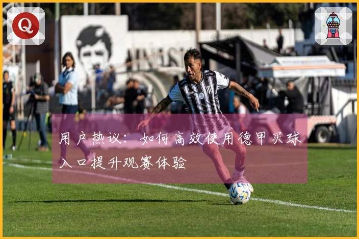 用户热议：如何高效使用德甲买球入口提升观赛体验