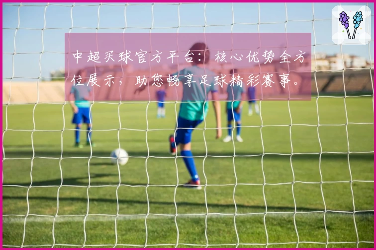 中超买球官方平台：核心优势全方位展示，助您畅享足球精彩赛事。