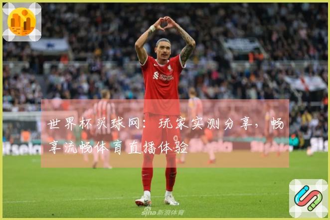 世界杯买球网：玩家实测分享，畅享流畅体育直播体验