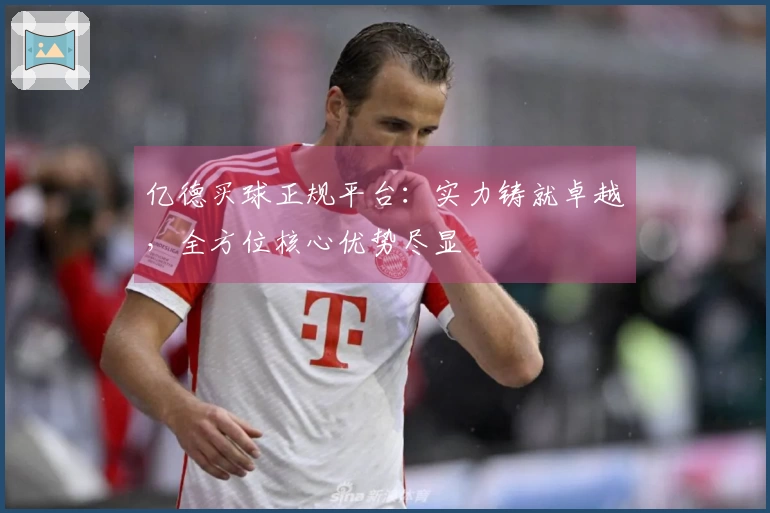 亿德买球正规平台：实力铸就卓越，全方位核心优势尽显